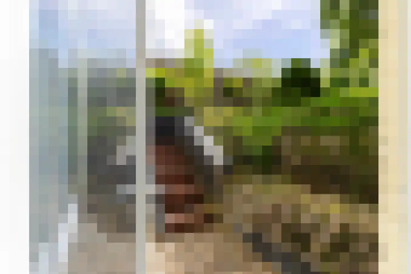 Pastoor Arnold Somyasingel 14 Meerssen thumbnail 29