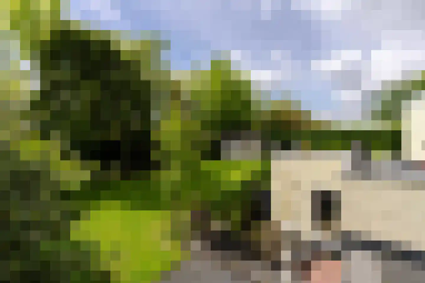 Pastoor Arnold Somyasingel 14 Meerssen thumbnail 30