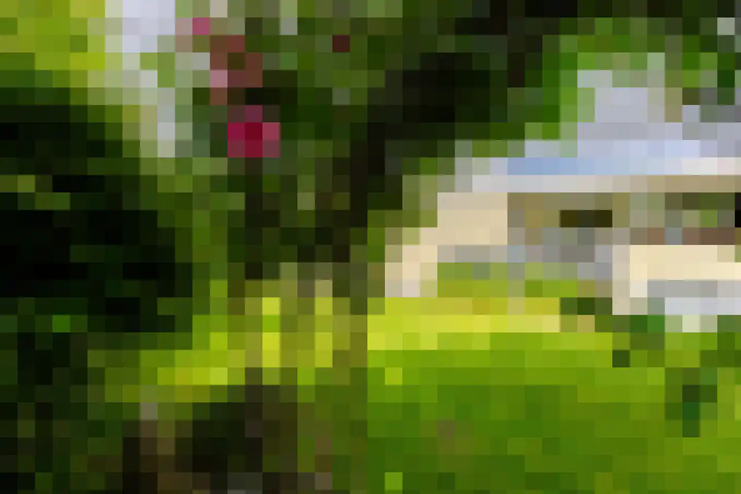 Pastoor Arnold Somyasingel 14 Meerssen thumbnail 35