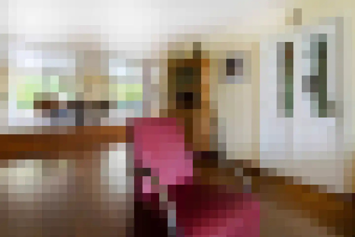 Pastoor Arnold Somyasingel 14 Meerssen thumbnail 7