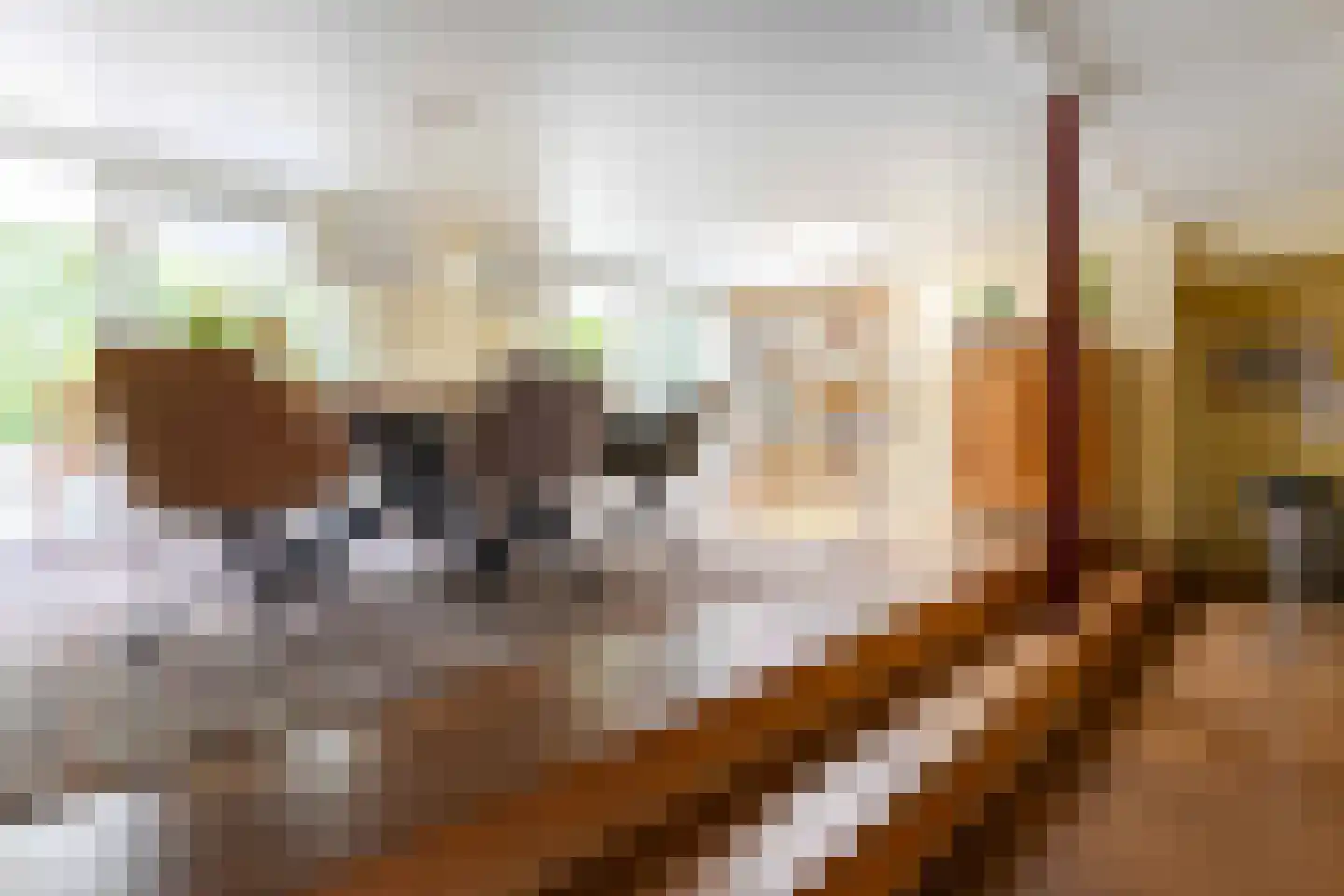 Pastoor Arnold Somyasingel 14 Meerssen thumbnail 9
