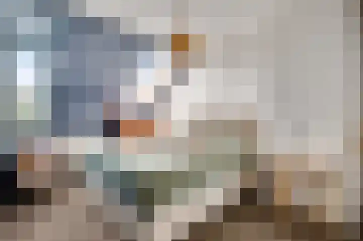 Pastoor Arnold Somyasingel 50 Meerssen thumbnail 11