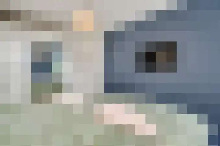 Pastoor Arnold Somyasingel 50 Meerssen thumbnail 12