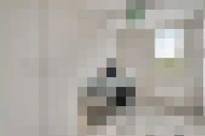 Pastoor Arnold Somyasingel 50 Meerssen thumbnail 14