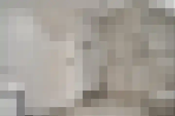 Pastoor Arnold Somyasingel 50 Meerssen thumbnail 16