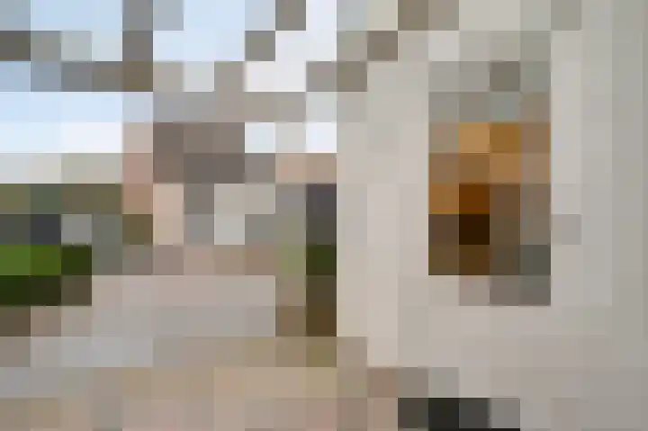 Pastoor Arnold Somyasingel 50 Meerssen thumbnail 17