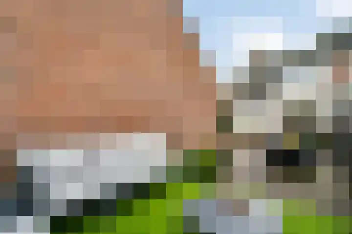Pastoor Arnold Somyasingel 50 Meerssen thumbnail 19