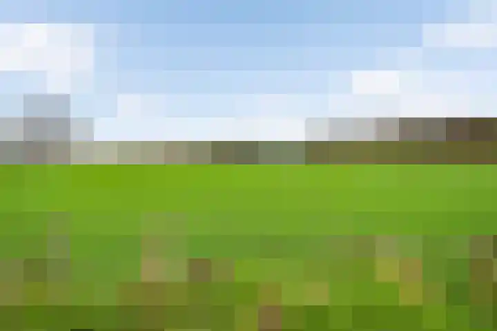 Pastoor Arnold Somyasingel 50 Meerssen thumbnail 21