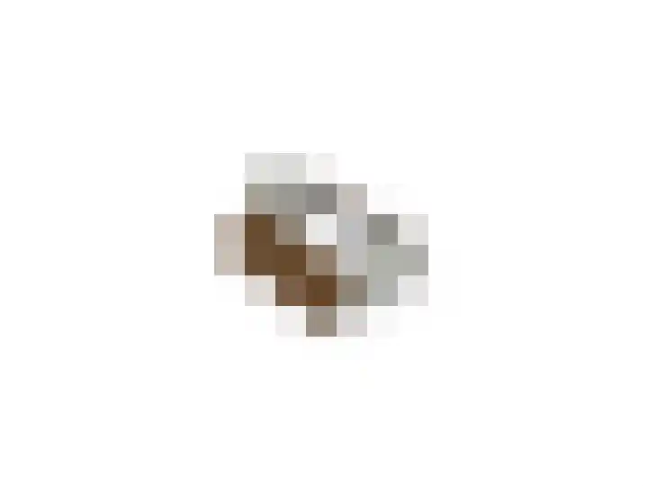 Pastoor Arnold Somyasingel 50 Meerssen thumbnail 27