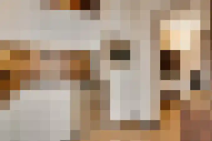 Pastoor Arnold Somyasingel 50 Meerssen thumbnail 9