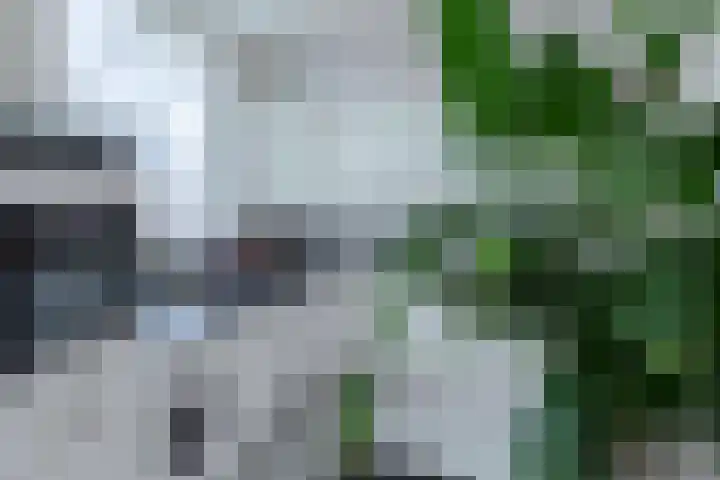 Pastoor Arnold Somyasingel 6 Meerssen thumbnail 11