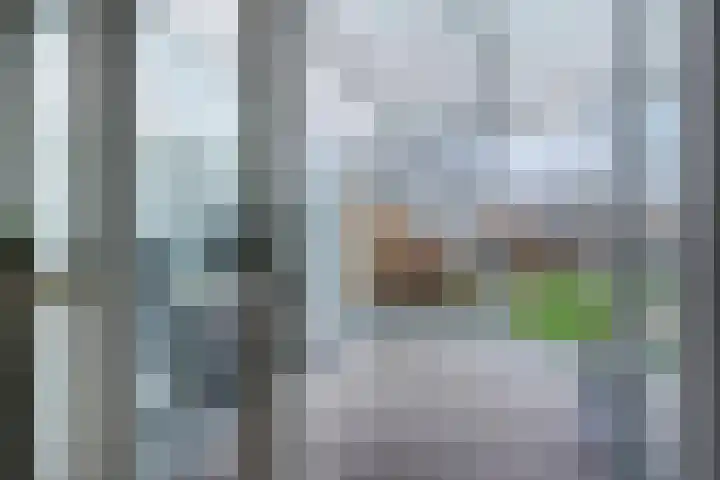 Pastoor Arnold Somyasingel 6 Meerssen thumbnail 25