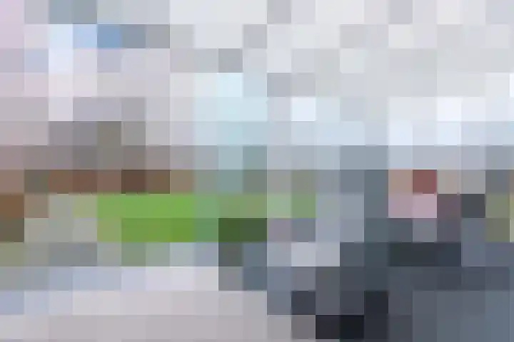 Pastoor Arnold Somyasingel 6 Meerssen thumbnail 26