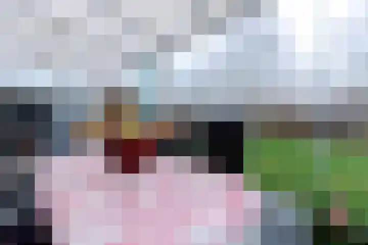 Pastoor Arnold Somyasingel 6 Meerssen thumbnail 27