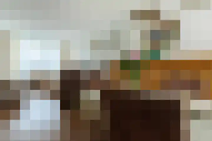 Pastoor Arnold Somyasingel 6 Meerssen thumbnail 4