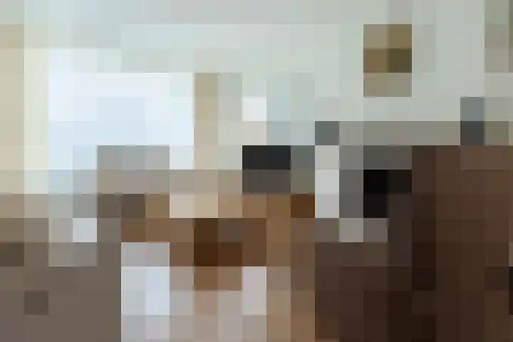 Pastoor Arnold Somyasingel 6 Meerssen thumbnail 5