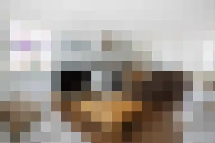 Pastoor Arnold Somyasingel 6 Meerssen thumbnail 7