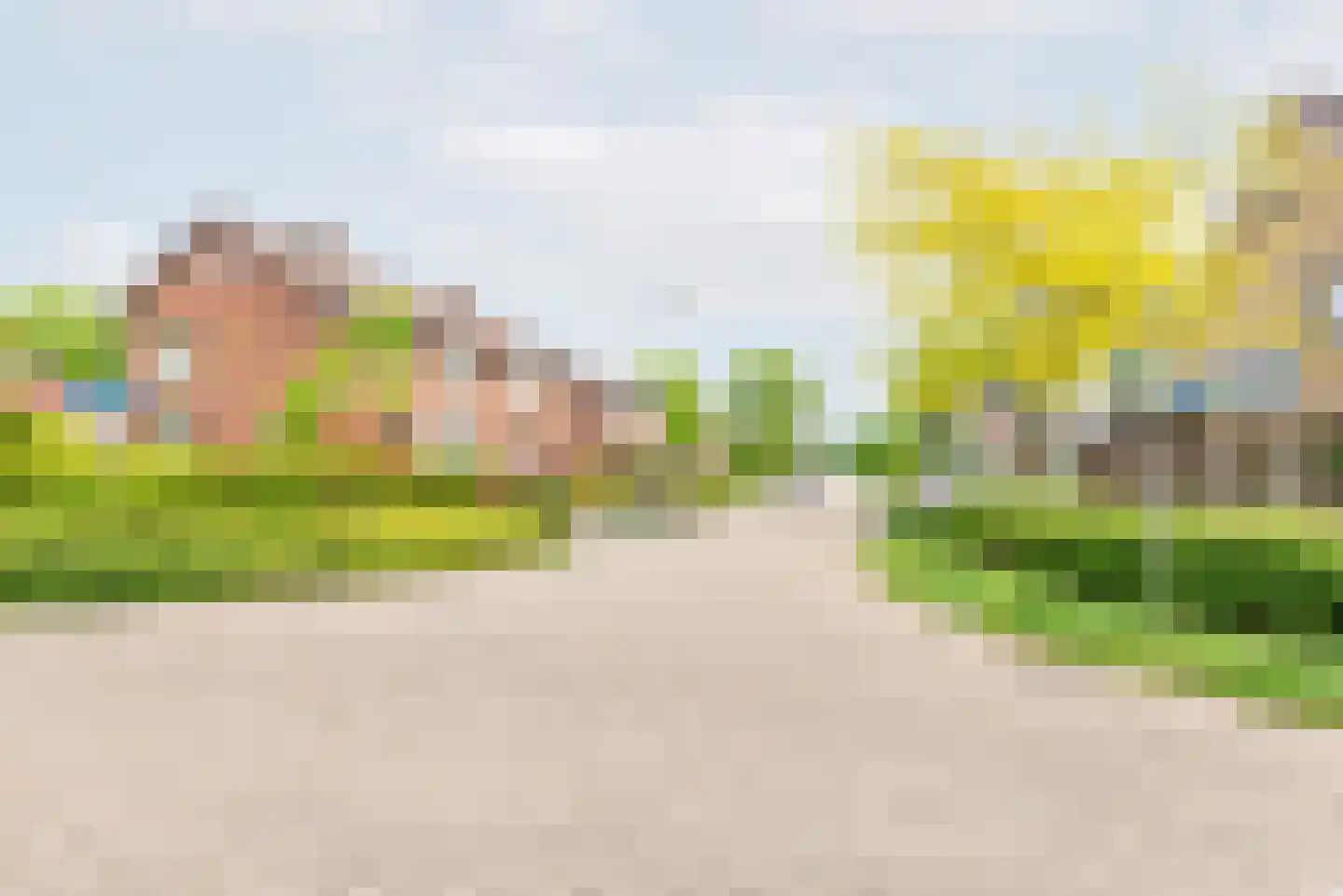 Pastoor Balkstraat 1 A Varsselder thumbnail 42
