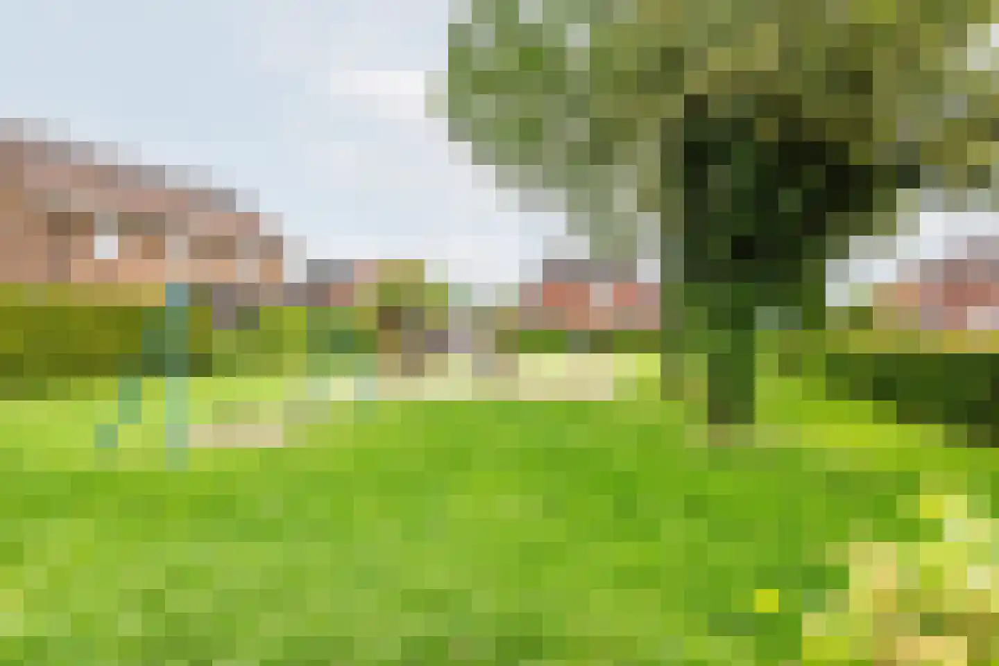 Pastoor Balkstraat 1 A Varsselder thumbnail 43