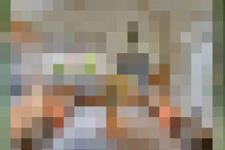 Pastoor Baltesenstraat 1 Velden thumbnail 21