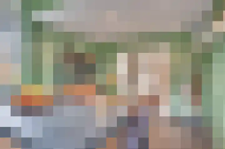Pastoor Baltesenstraat 1 Velden thumbnail 26