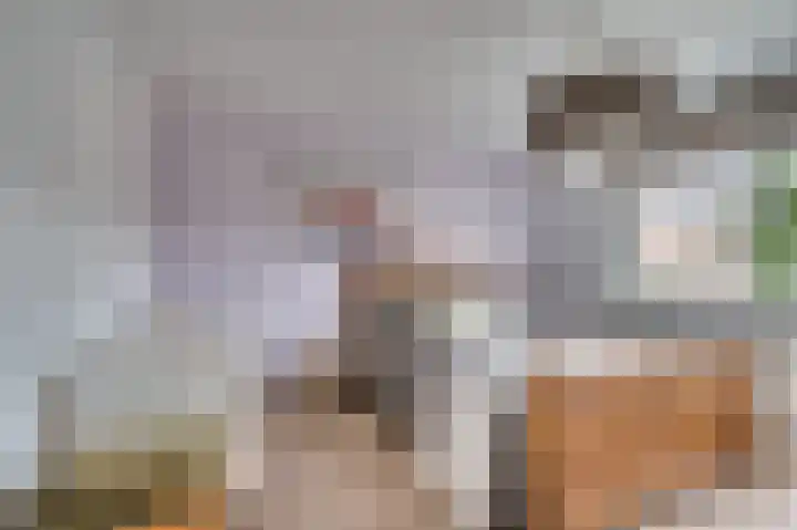 Pastoor Baltesenstraat 1 Velden thumbnail 34