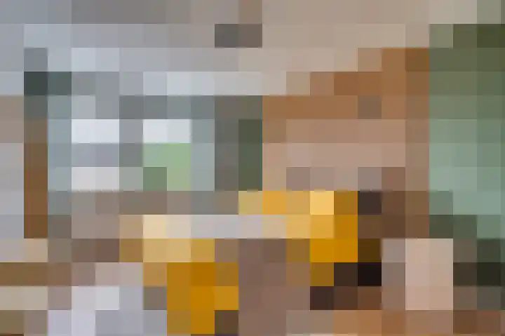 Pastoor Baltesenstraat 1 Velden thumbnail 36