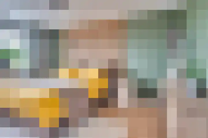 Pastoor Baltesenstraat 1 Velden thumbnail 37
