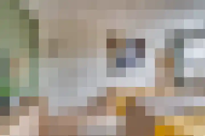 Pastoor Baltesenstraat 1 Velden thumbnail 39