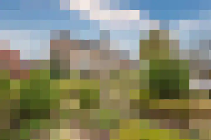 Pastoor Baltesenstraat 1 Velden thumbnail 4