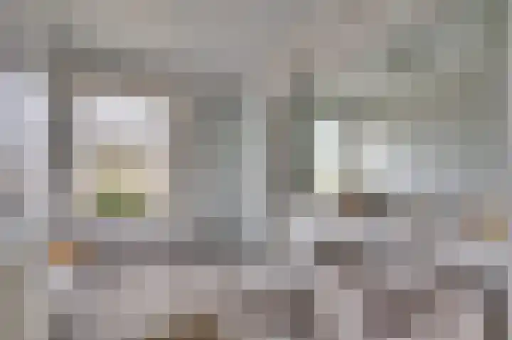 Pastoor Baltesenstraat 1 Velden thumbnail 42