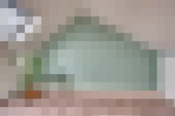 Pastoor Baltesenstraat 1 Velden thumbnail 46