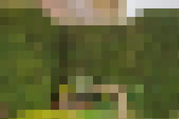 Pastoor Baltesenstraat 1 Velden thumbnail 5