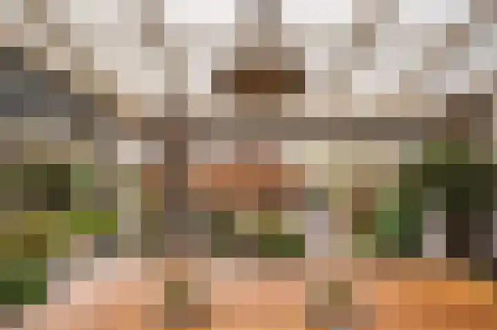 Pastoor Baltesenstraat 1 Velden thumbnail 54