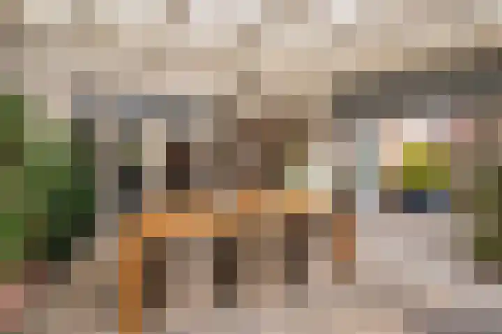 Pastoor Baltesenstraat 1 Velden thumbnail 55