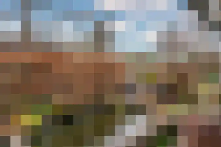 Pastoor Baltesenstraat 1 Velden thumbnail 57