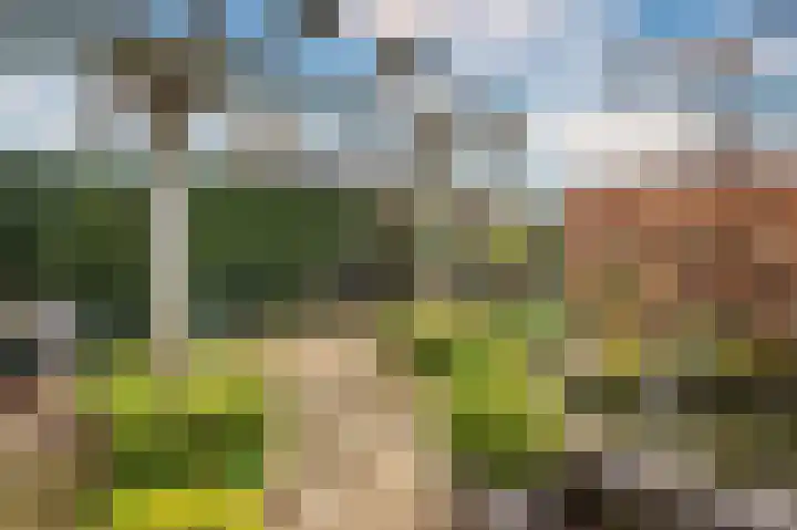 Pastoor Baltesenstraat 1 Velden thumbnail 58