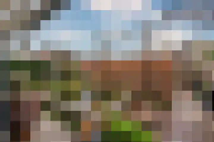 Pastoor Baltesenstraat 1 Velden thumbnail 59