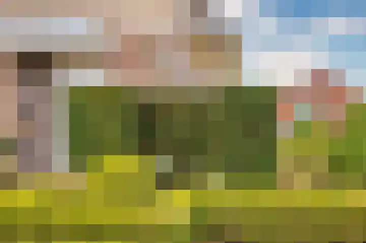 Pastoor Baltesenstraat 1 Velden thumbnail 6