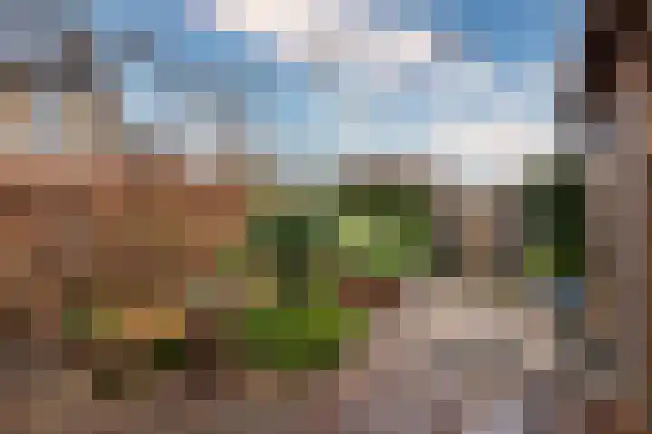 Pastoor Baltesenstraat 1 Velden thumbnail 65