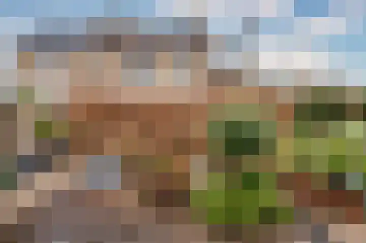 Pastoor Baltesenstraat 1 Velden thumbnail 69
