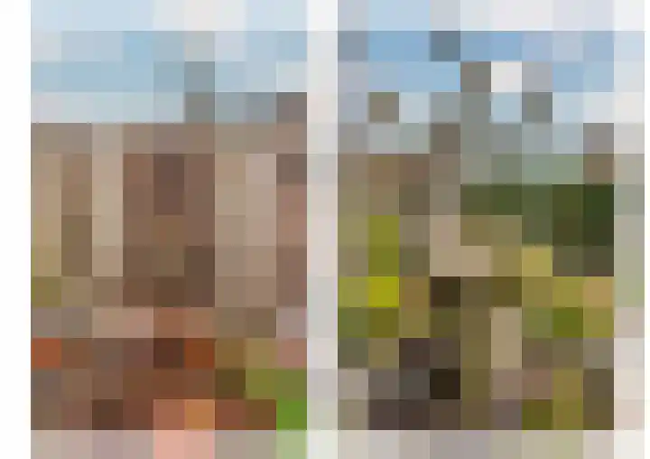 Pastoor Baltesenstraat 1 Velden thumbnail 70
