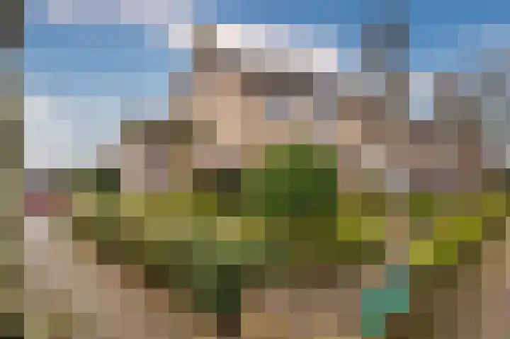Pastoor Baltesenstraat 1 Velden thumbnail 74