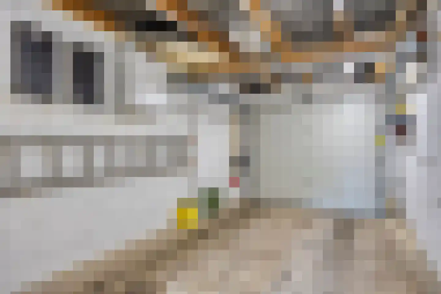 Pastoor Baltesenstraat 7 Velden thumbnail 34