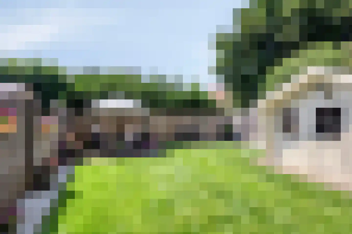Pastoor Baltesenstraat 7 Velden thumbnail 38