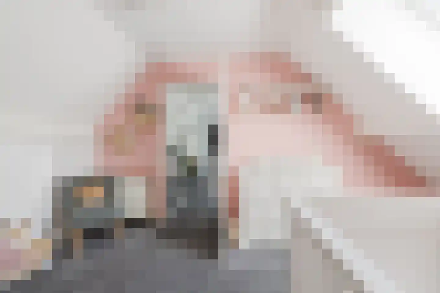 Pastoor Bastiaansensingel 1 A St. Willebrord thumbnail 32