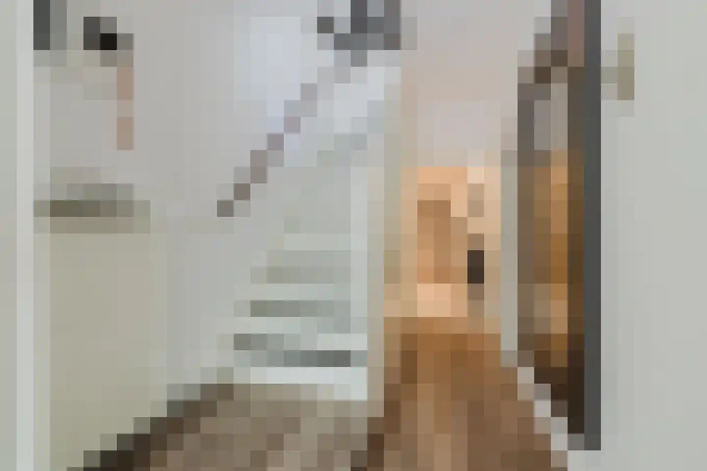 Pastoor Bastiaansensingel 1 A St. Willebrord thumbnail 7