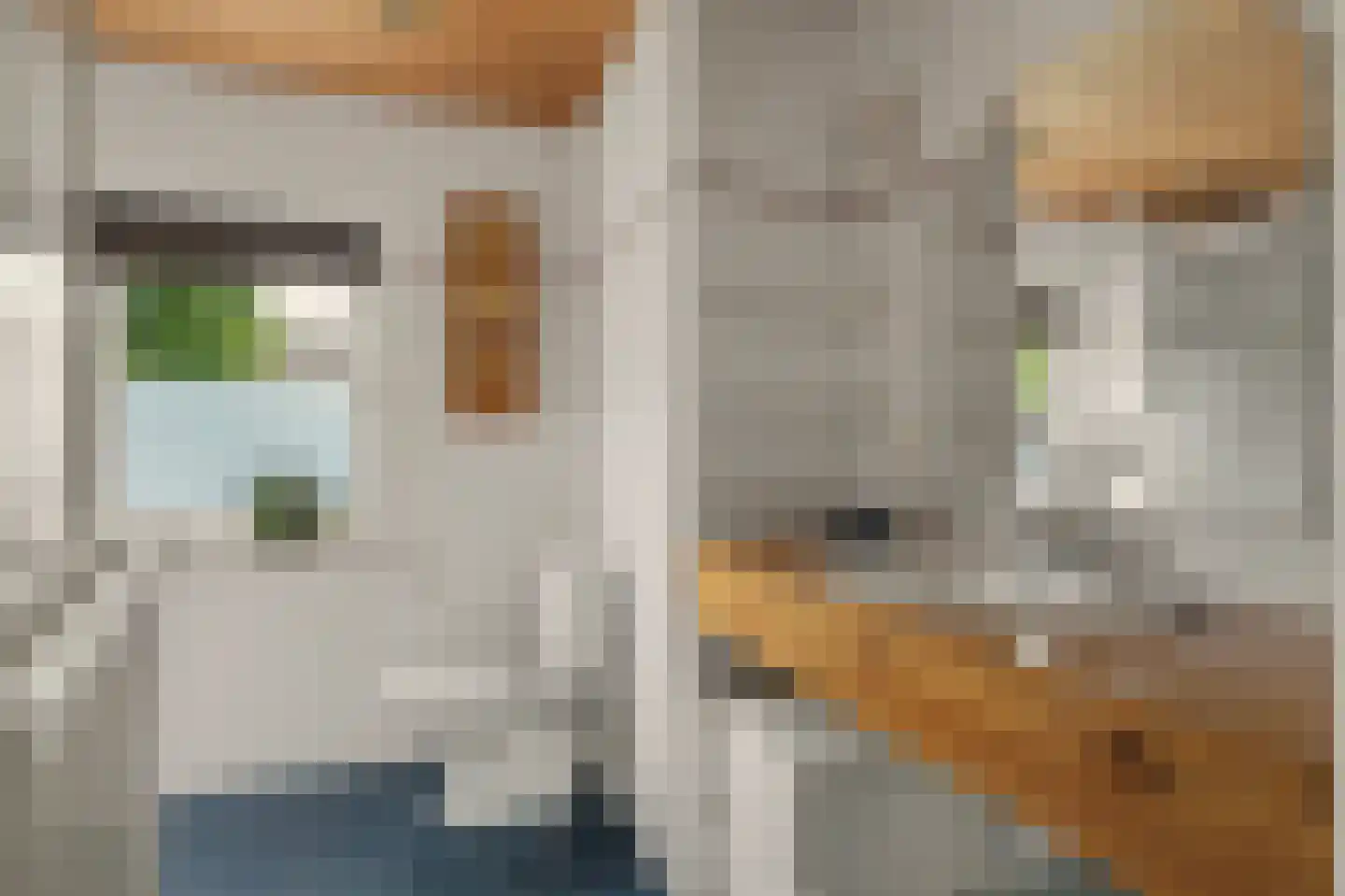 Pastoor Becxstraat 6 A Nieuwkuijk thumbnail 33