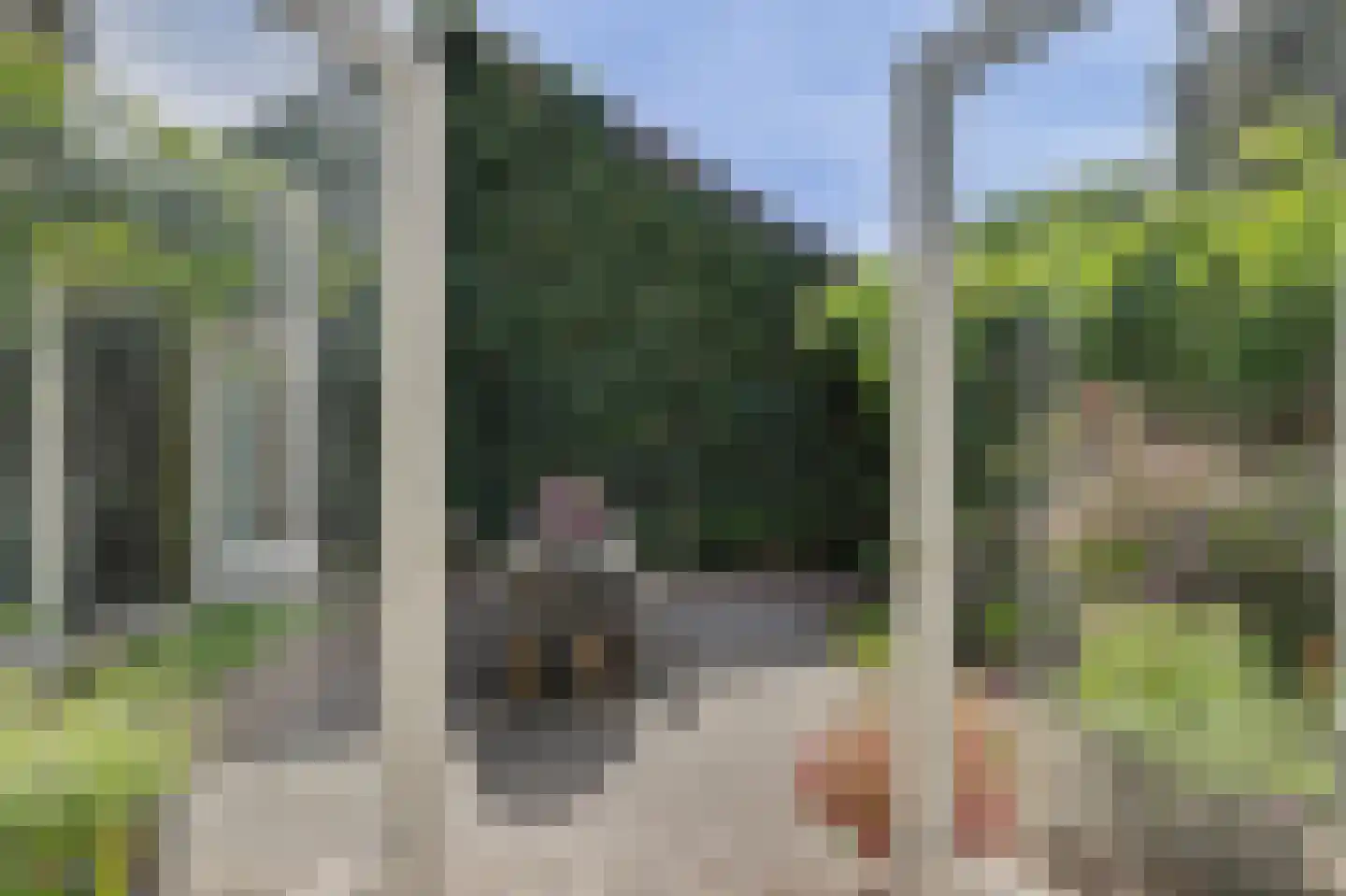 Pastoor Becxstraat 6 A Nieuwkuijk thumbnail 45