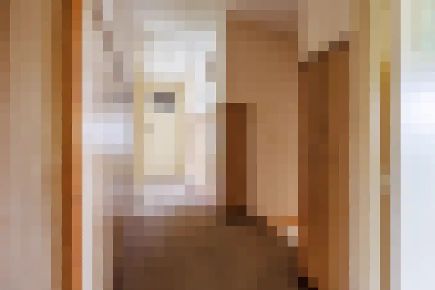 Pastoor Berdenstraat 13 Afferden L thumbnail 20